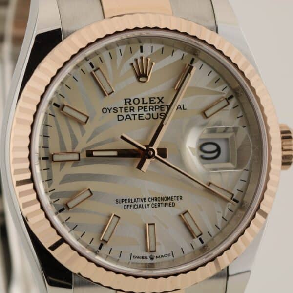 rolex datejust 36 126231 palm unworn